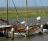 2009: Hoogwater in Noordpolderzijl